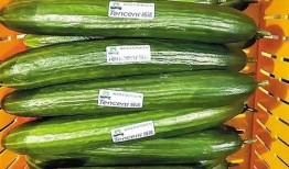 热门大瓜每日大赛